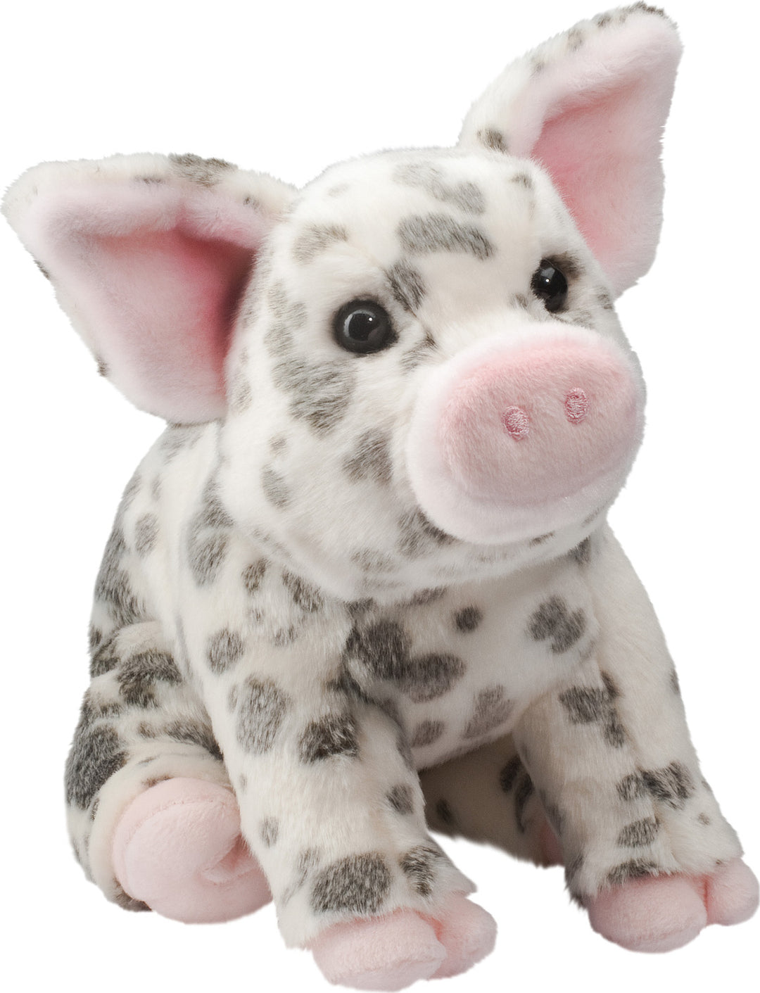 Pauline the Spotted Pig