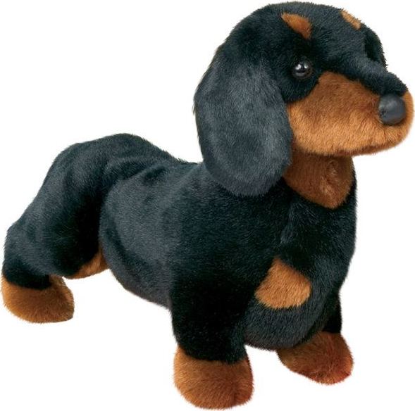 Spats Black & Tan Dachshund