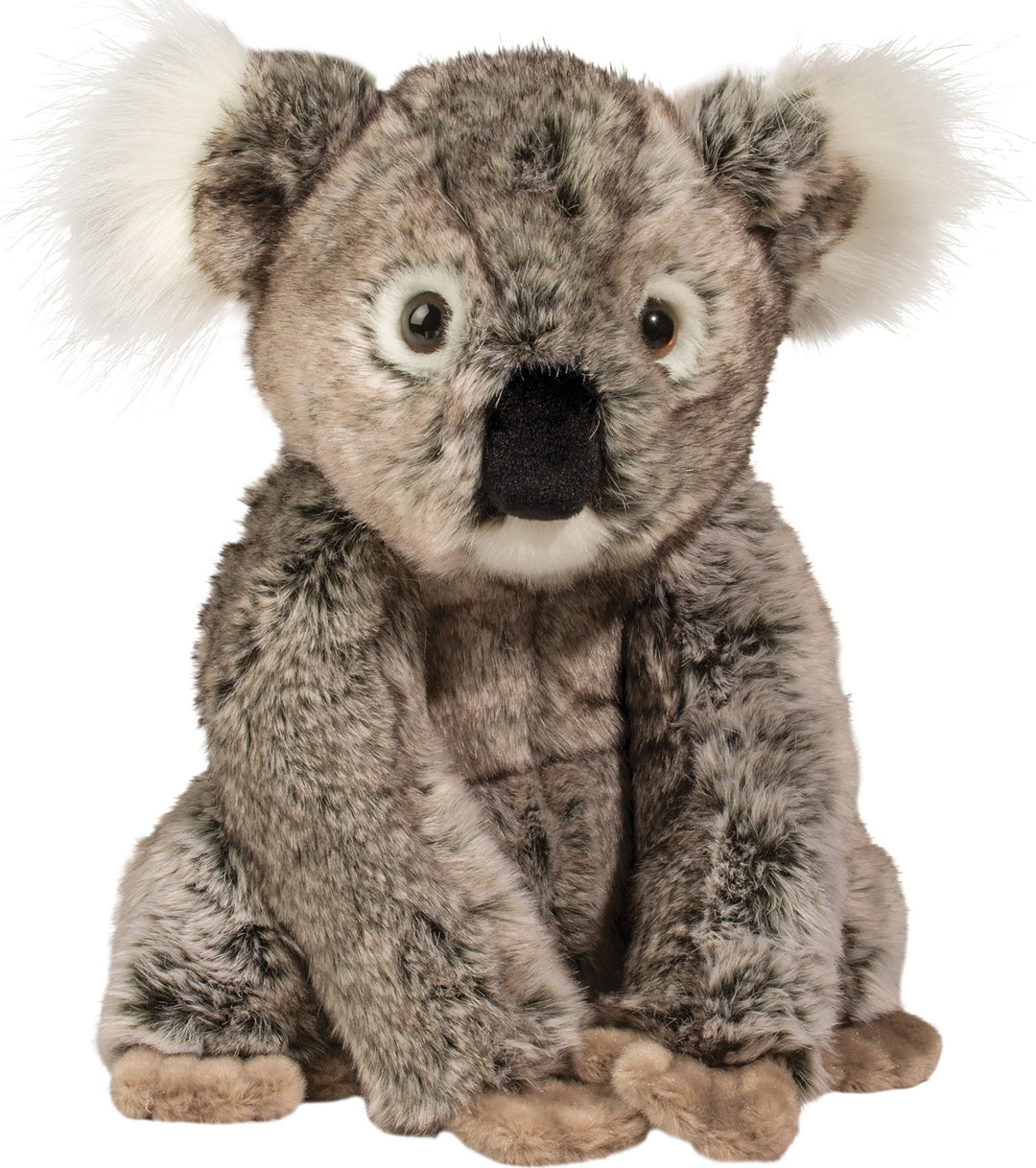 Kellen Koala