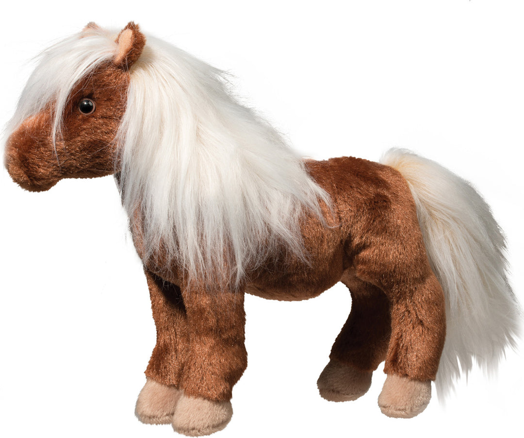 Tiny the Shetland Pony