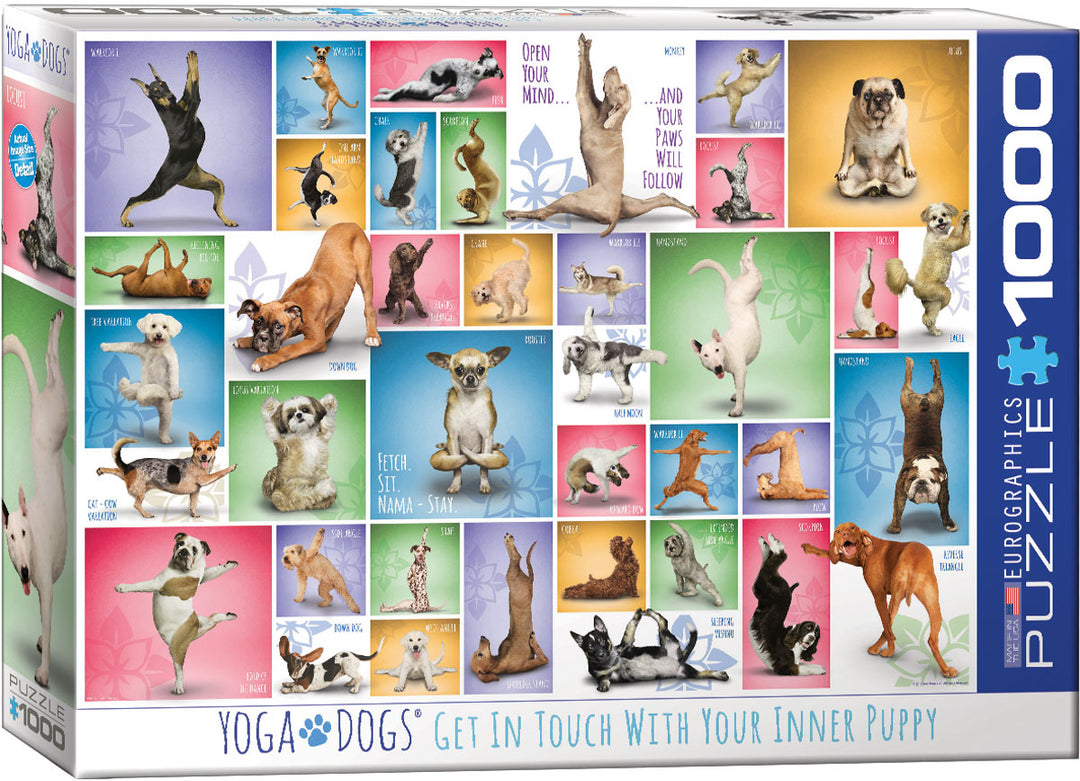 Yoga Dogs 1000
