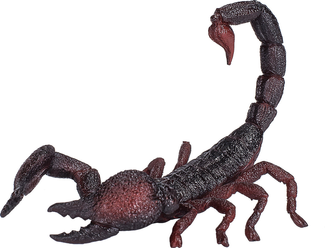 Emperor Scorpion