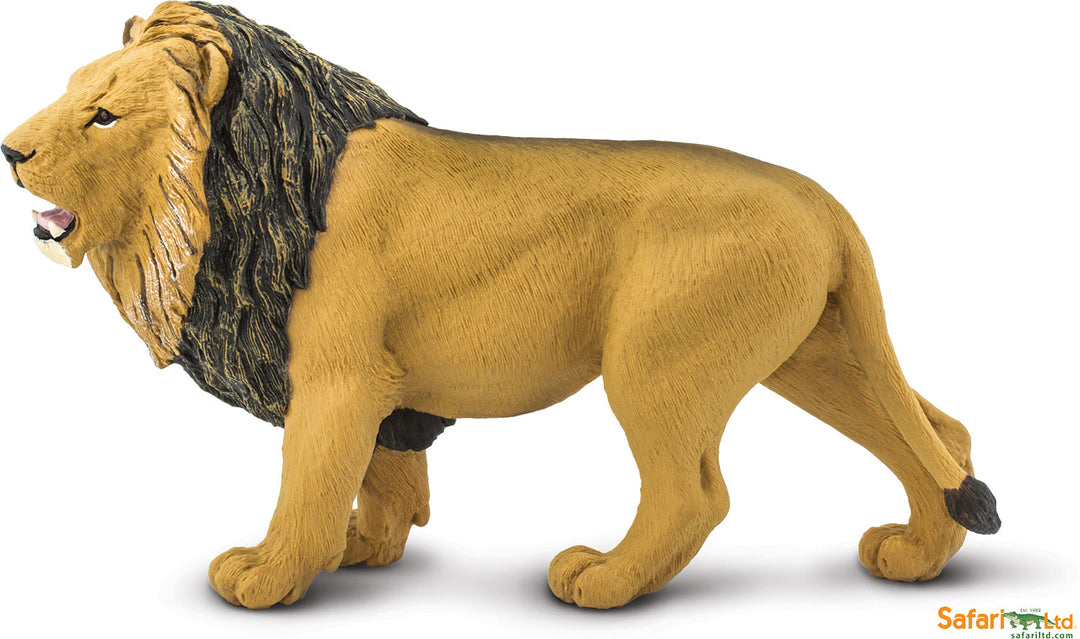 Wildlife Wonders Lion