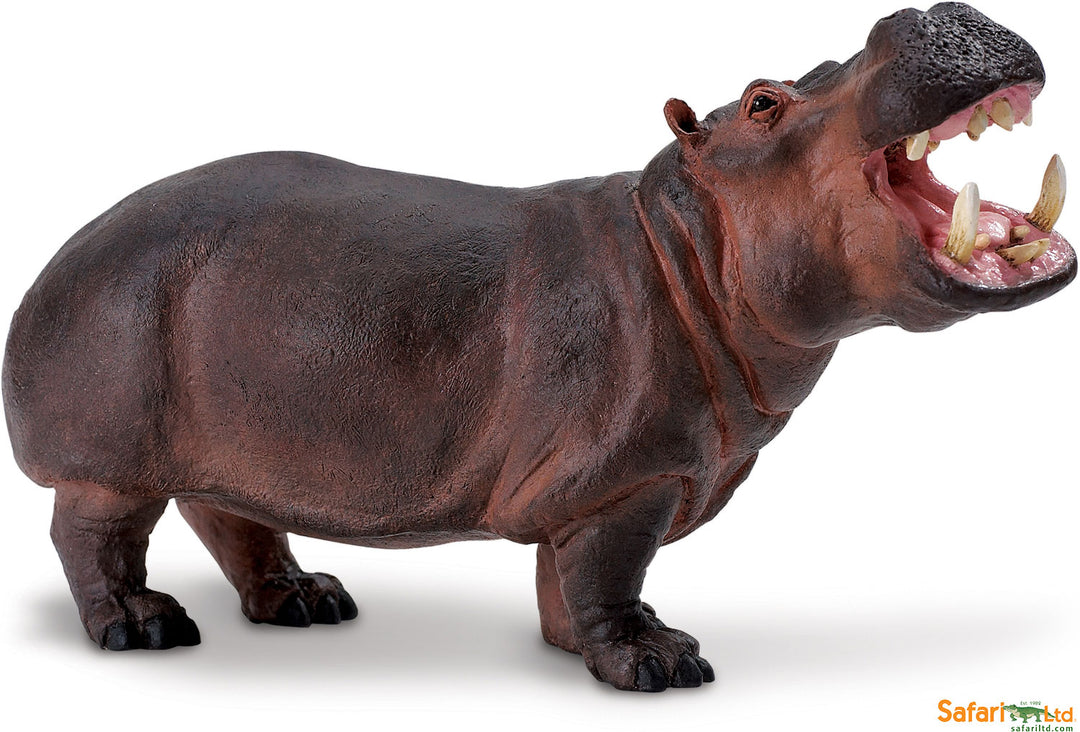 Wildlife Wonders Hippopotamus