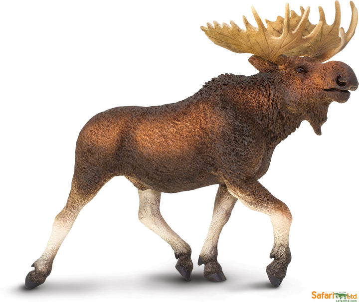 Wildlife Wonders Moose