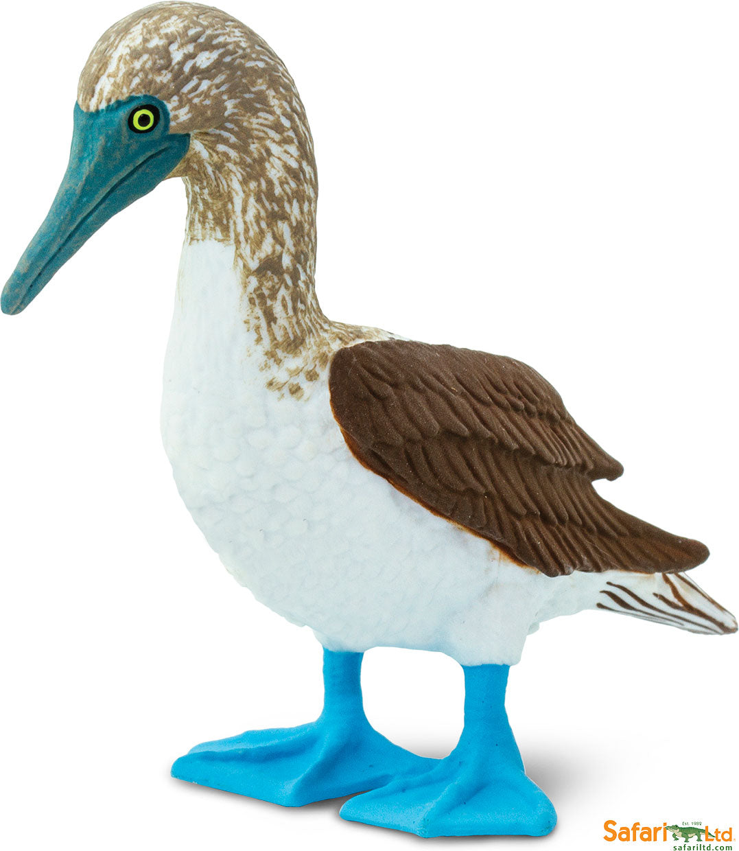 Bird: Blue Footed Booby