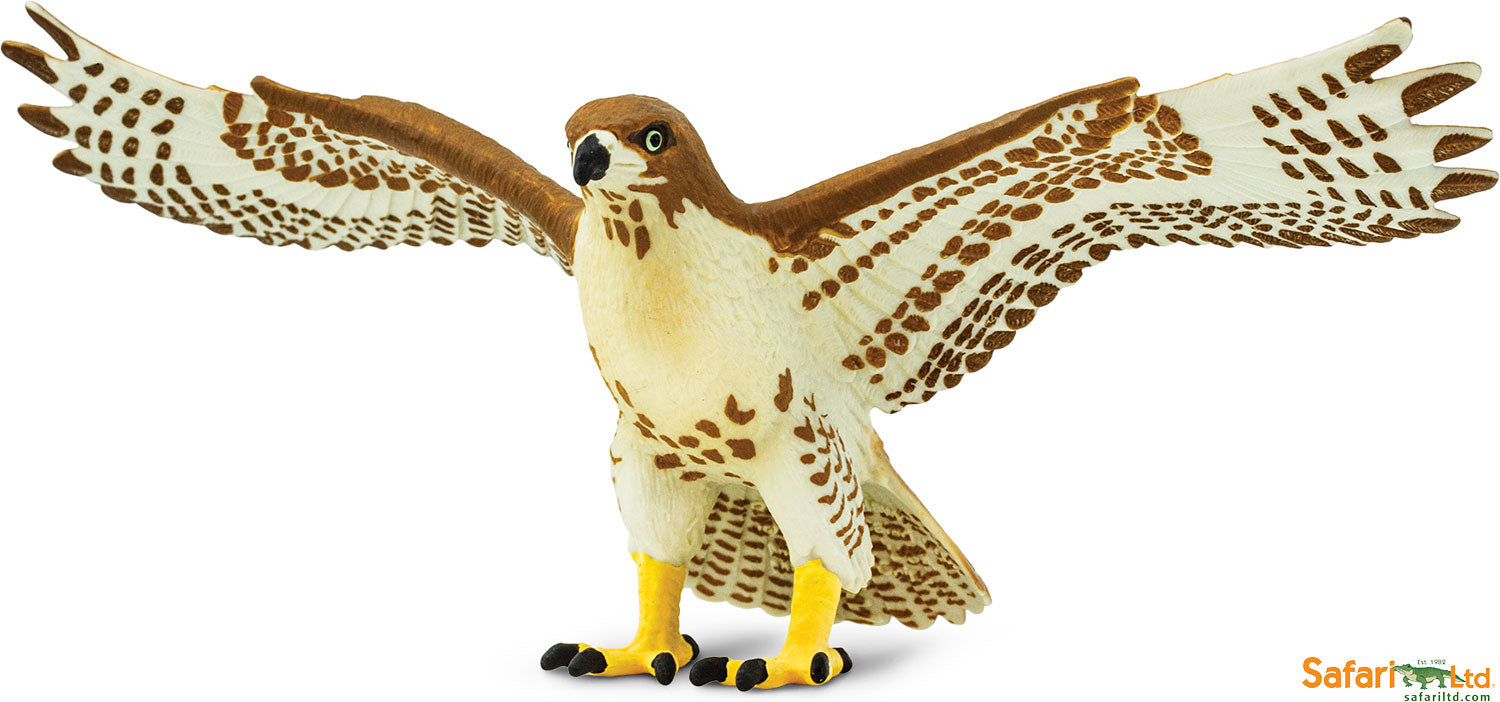 Amazon.com: Safari Ltd. Red-Tailed Hawk Figurine - Detailed