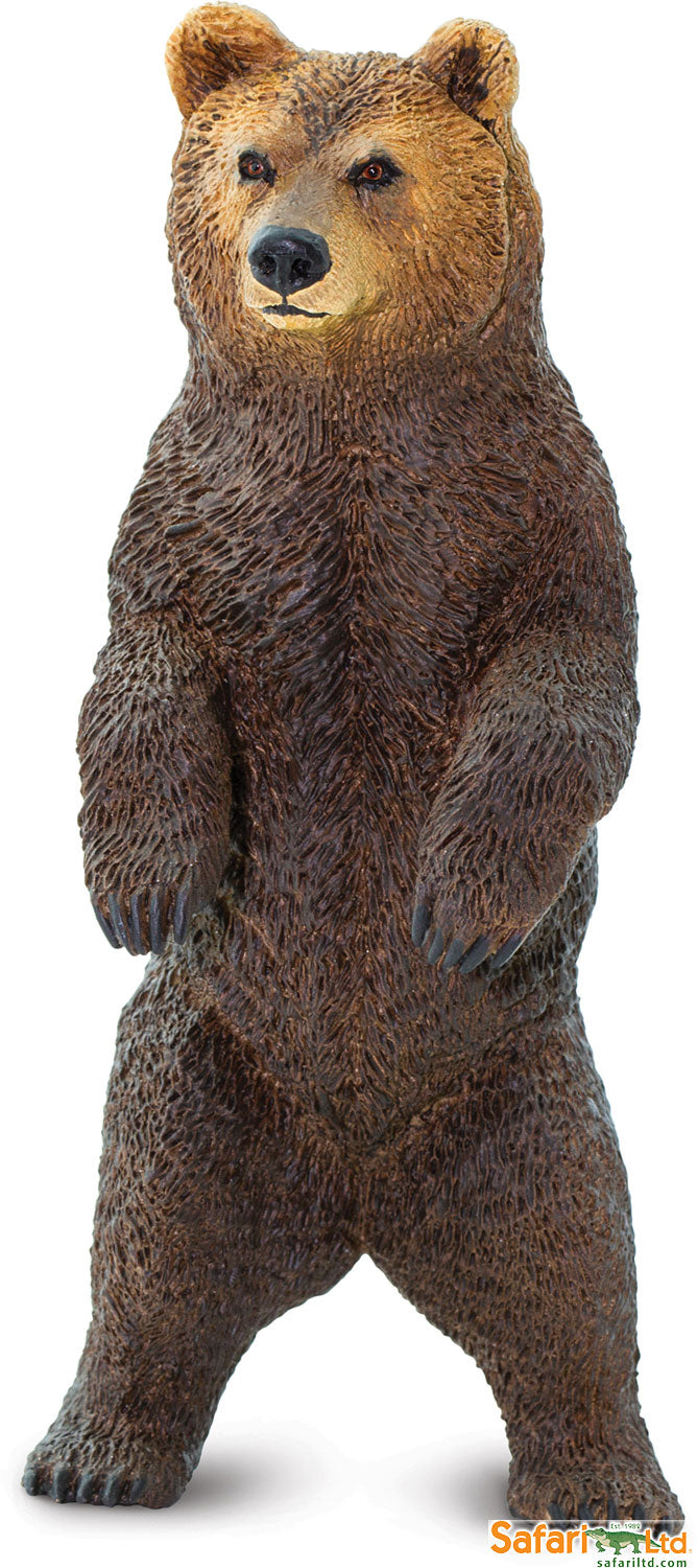 North American: Grizzly Bear