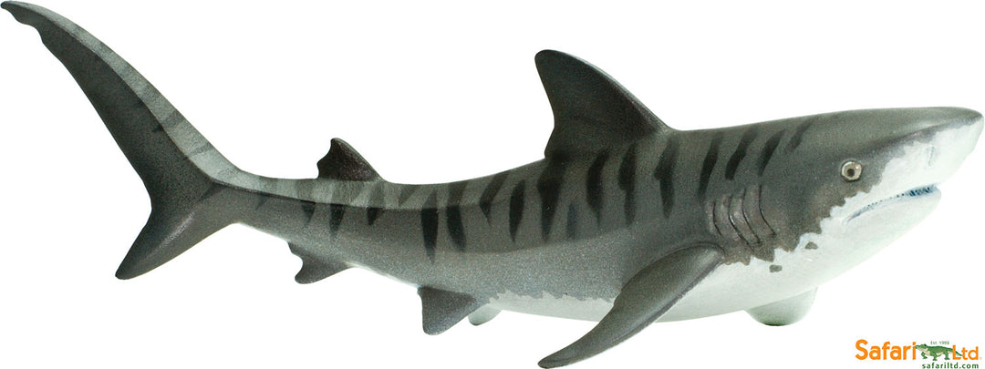 Sea: Tiger Shark