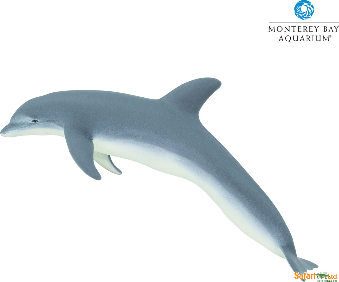 Sealife Bottlenose Dolphin