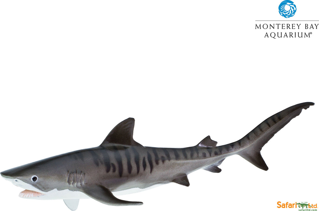 Monteray Bay Sealife Collection Tiger Shark