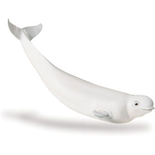 Sealife Beluga Whale