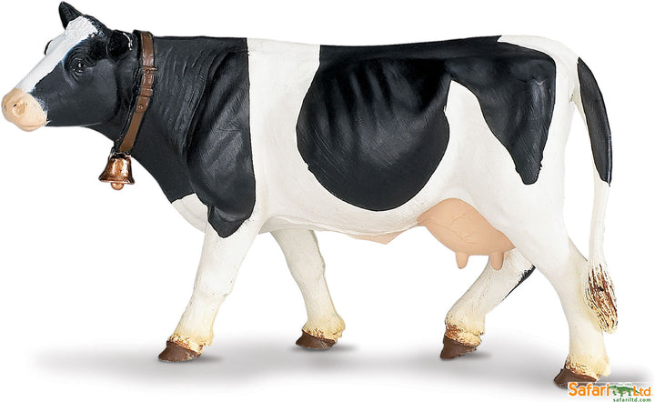 Farm Holstein Cow