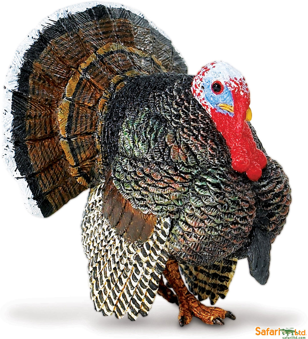 Farm Male Turkey