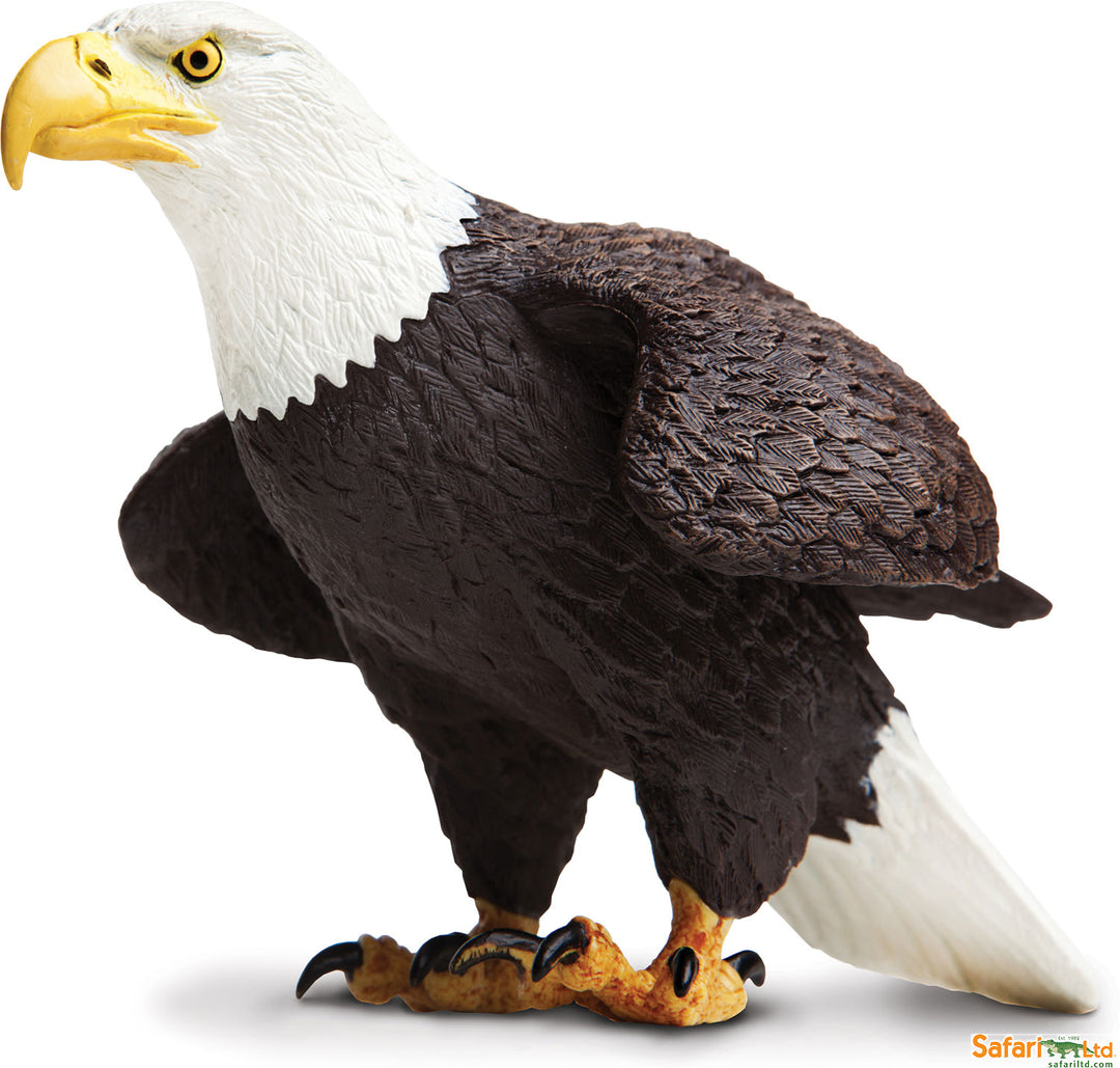 Incredible Creature Bald Eagle