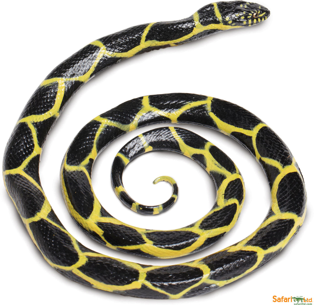 Incredible Creature Chain Kingsnake