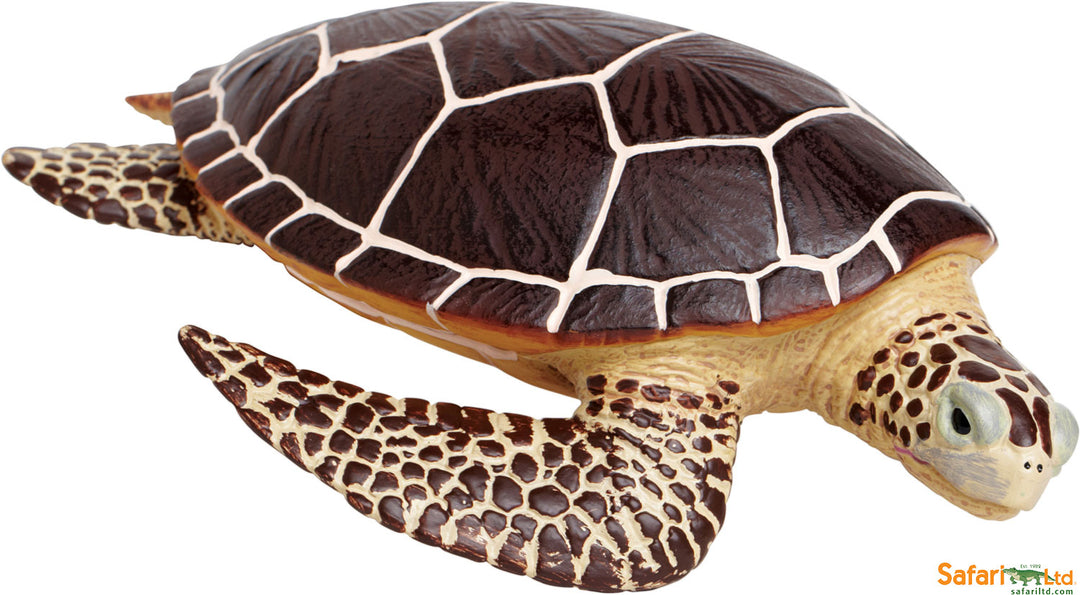 Incredible Creature Sea Turtle