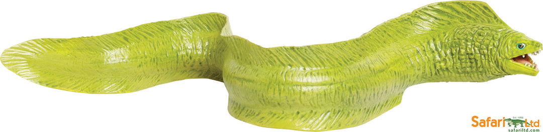 Sealife Moray Eel