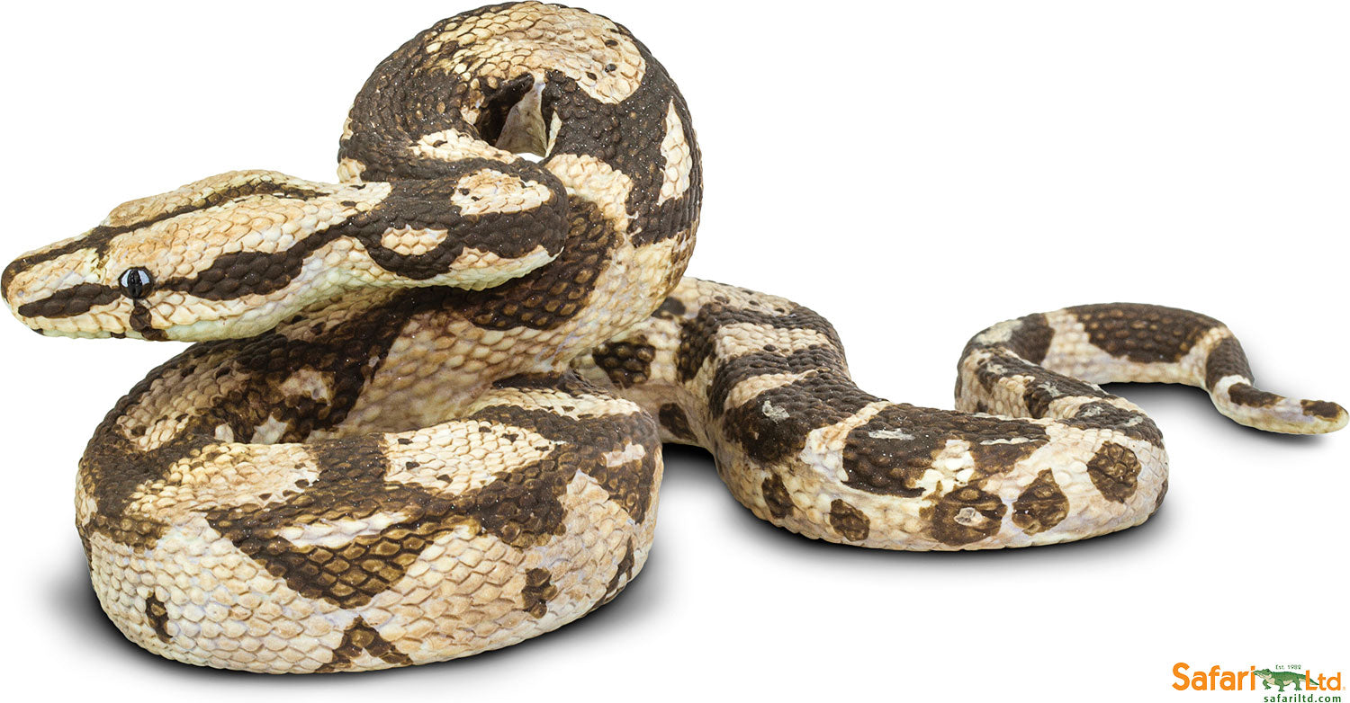 Incredible Creature Boa Constrictor – Stevenson's Toys & Games
