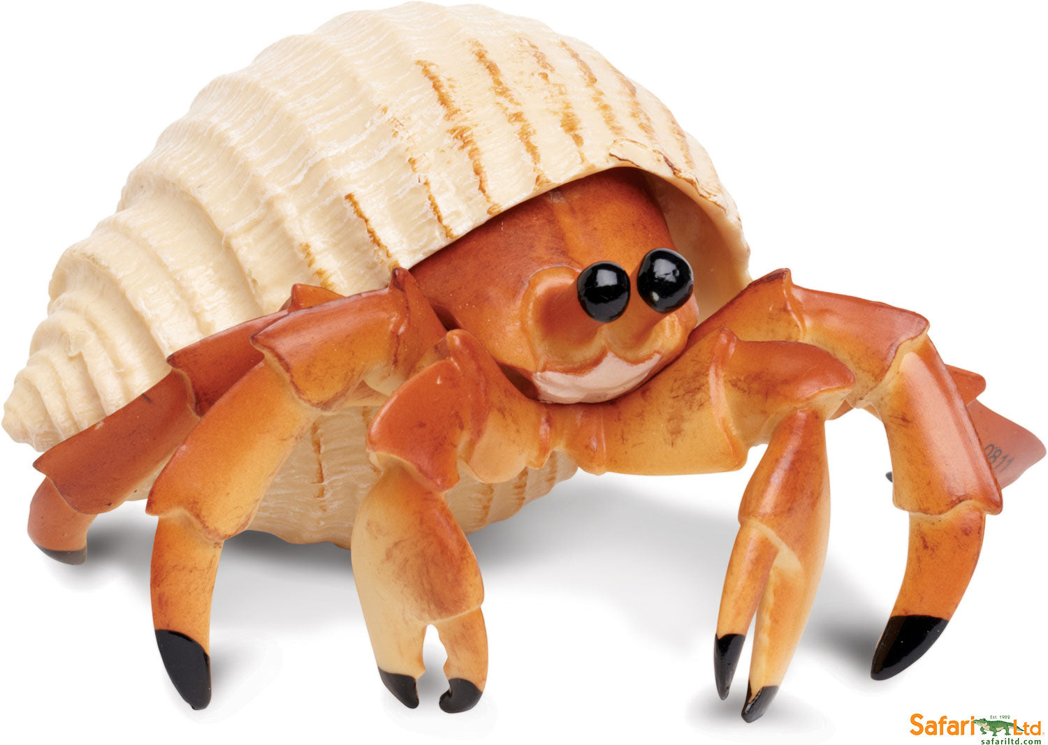 Incredible Creature Hermit Crab – Stevenson's Toys & Games
