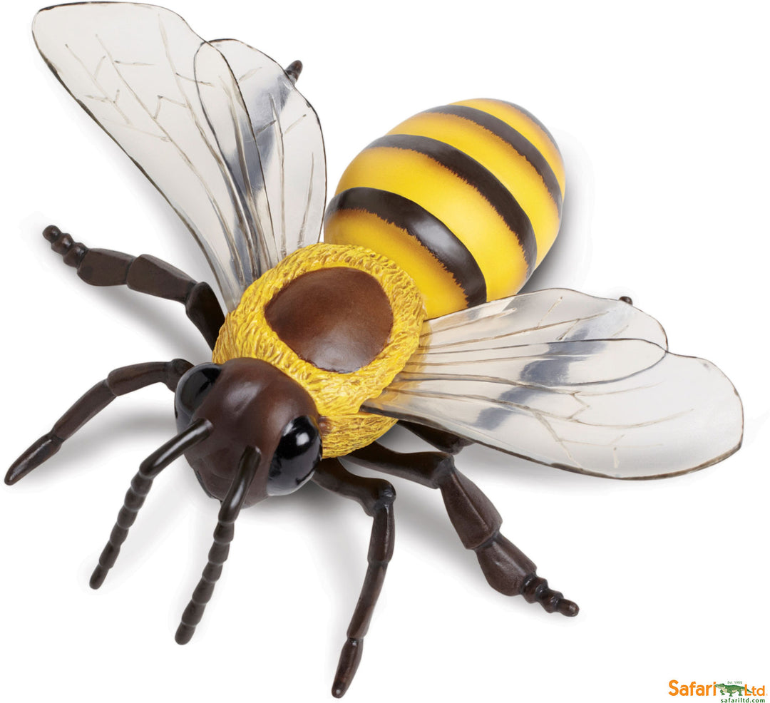 Incredible Creature Honeybee