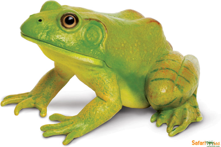 Incredible Creature American Bullfrog