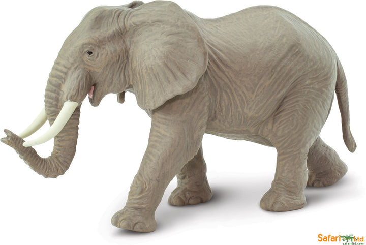 Safari Wild African Elephant