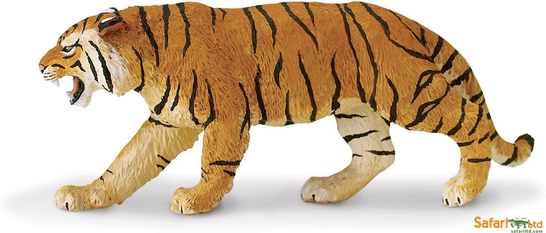 Safari Wild Bengal Tiger