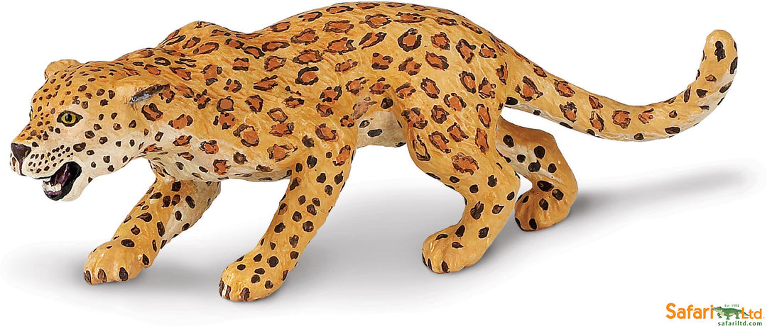 Safari Wild Leopard