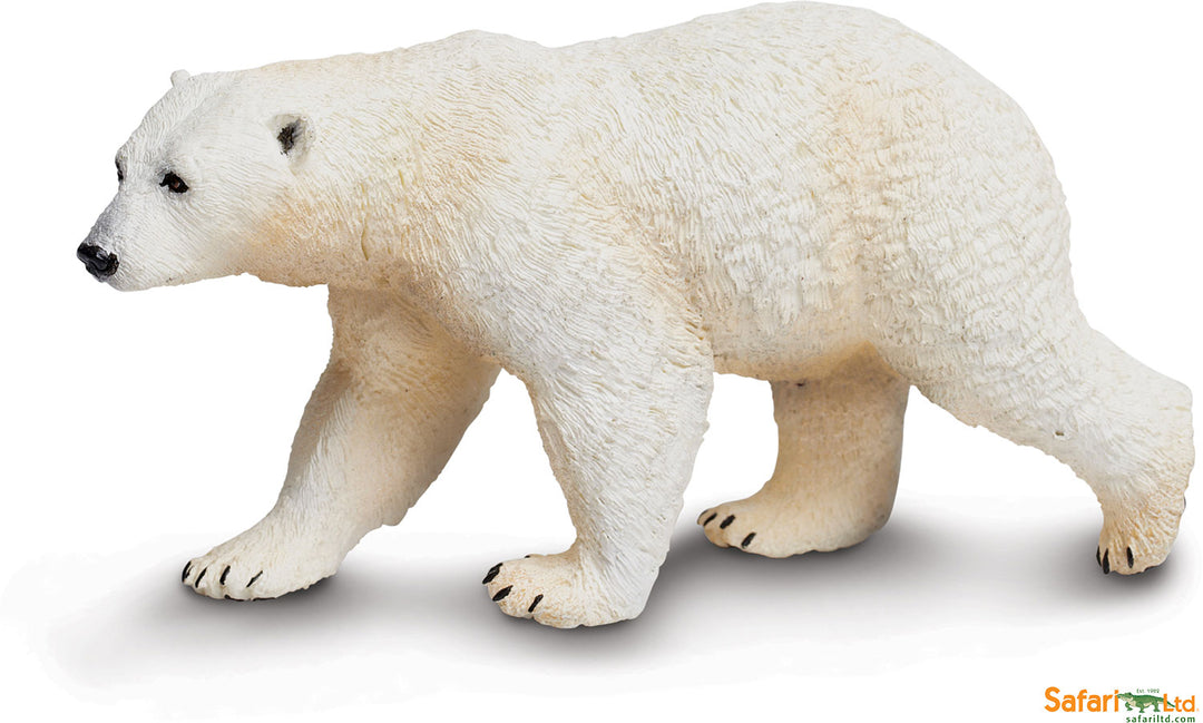Sealife Polar Bear