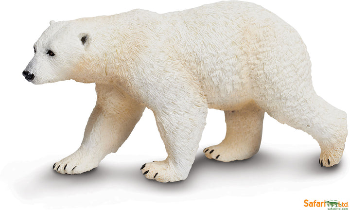 Sealife Polar Bear