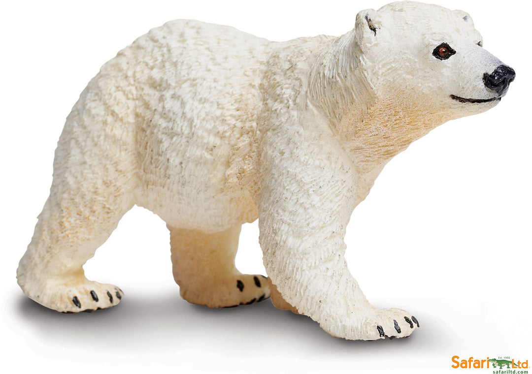 Sealife Polar Bear Cub