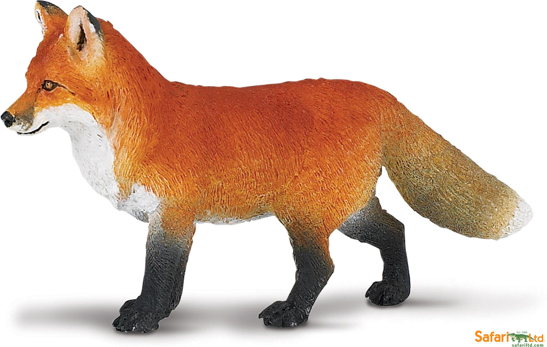 North American Wildlife Fox