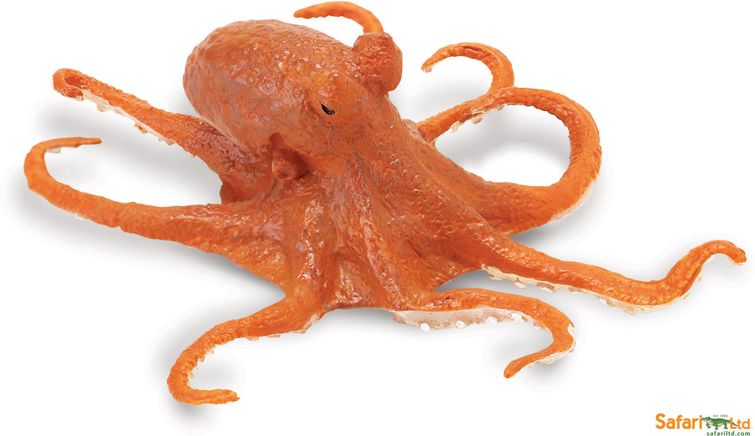 Sealife Octopus