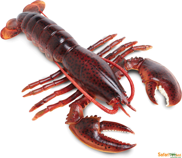 Incredible Creature Maine Lobster