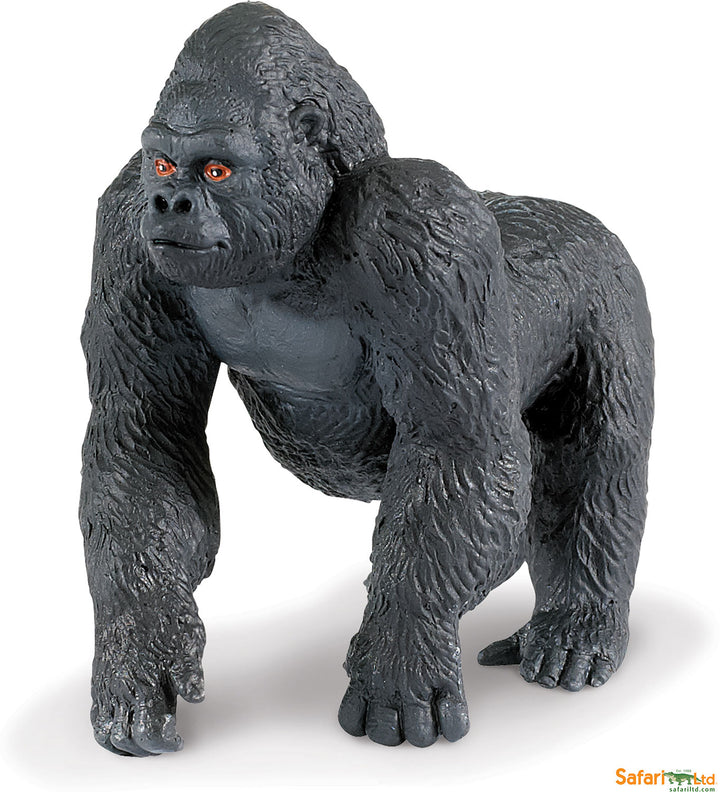 Safari Wild Lowland Gorilla Male