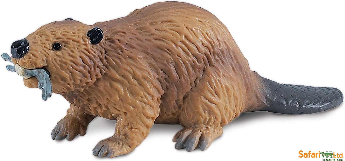 Beaver Toy - Safari Ltd Beaver Toy - Safari Ltd