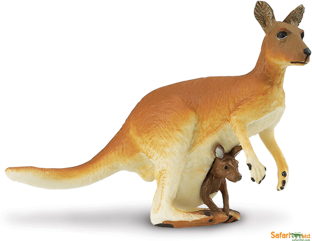 Safari Wild Kangaroo with Baby