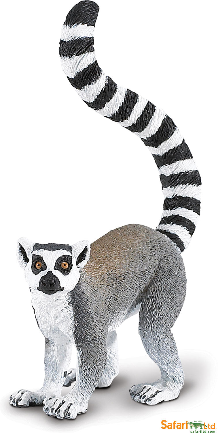 Safari Wild Ring-tailed Lemur
