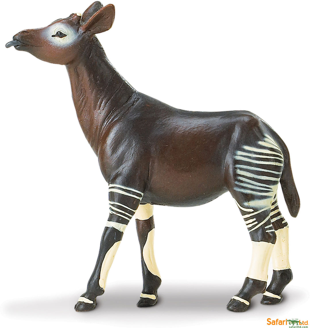 Safari Wild Okapi