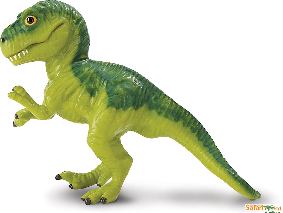 Dinosaur Tyrannosaurus-rex Baby