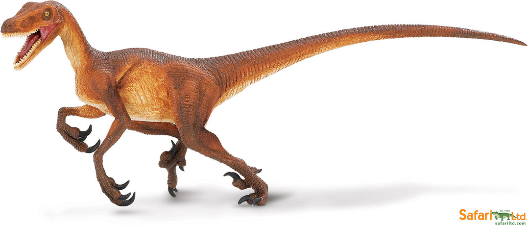 Dinosaur Velociraptor