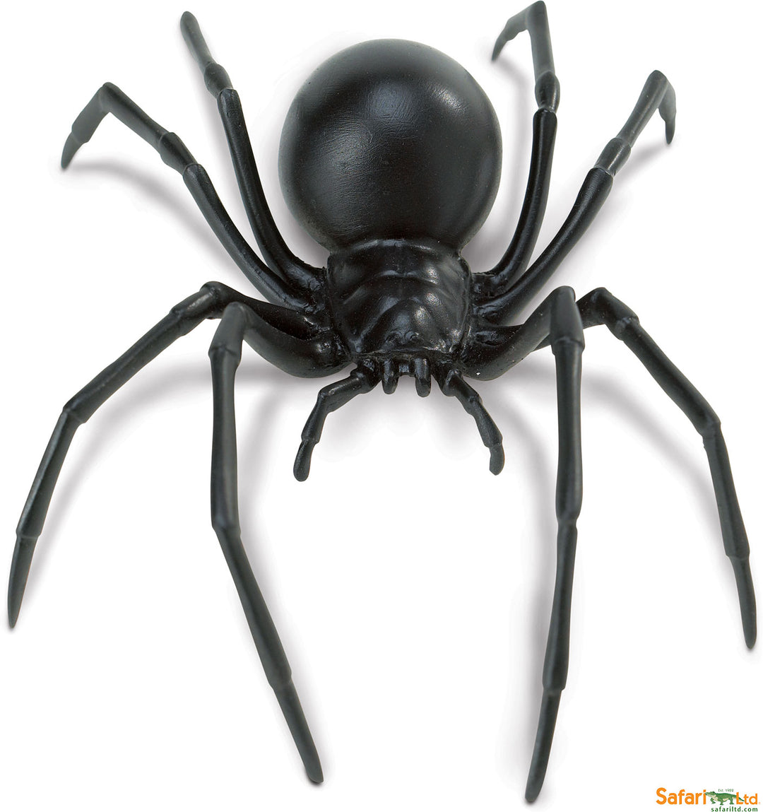 Hidden Kingdom Insects Black Widow Spider