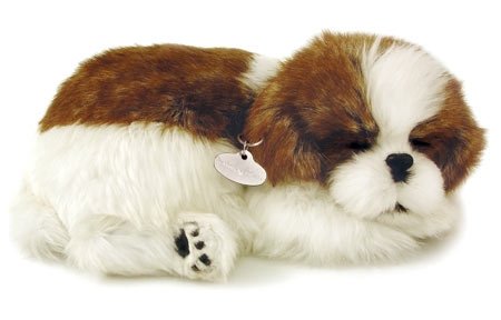 Perfect Petzzz Shih-Tzu