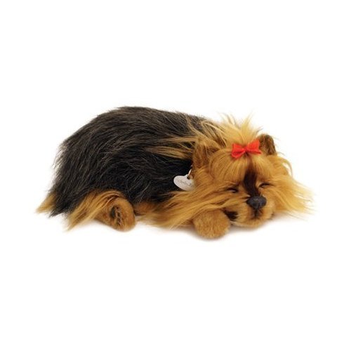 Perfect Petzzz Yorkie