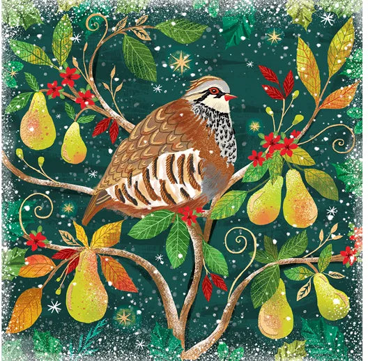 Advent, Christmas, Hannukah & New Year's