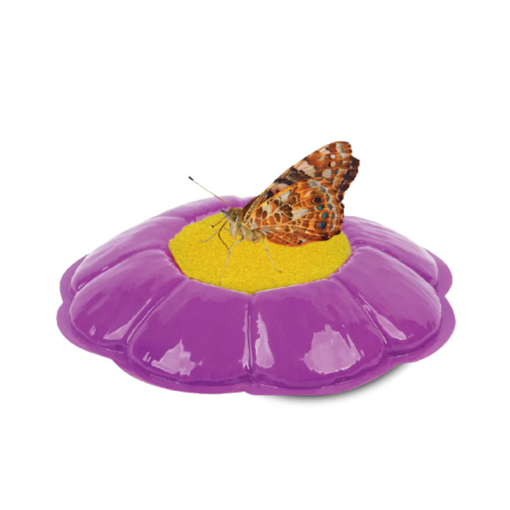 Butterfly Garden W/Certificate & Voucher