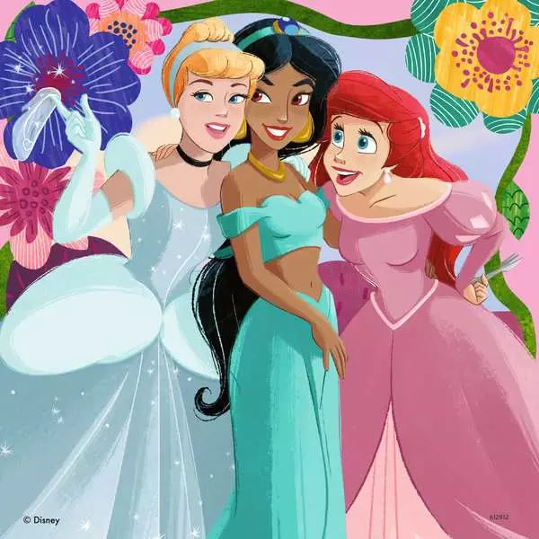 Disney Princess 3X49