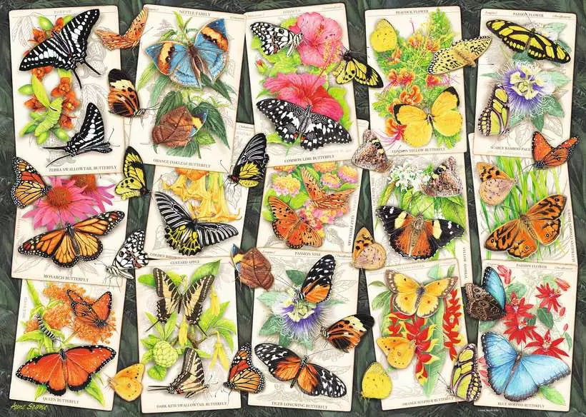 Tropical Butterflies 1000