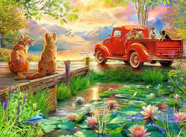 Summer Love 500